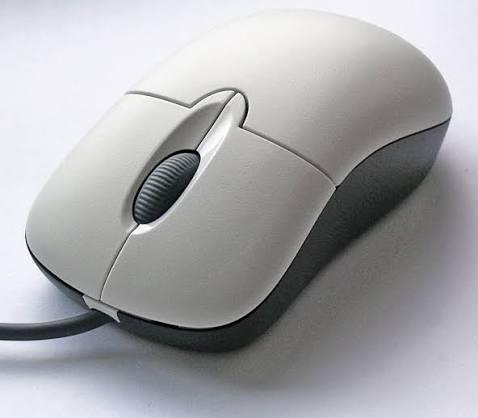 Best Mouse
